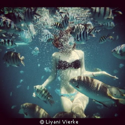 Swimming in the water and there were so many fish everywhere by Liyani Vierke 